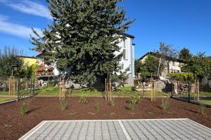 Ul Górna 14 Goczałkowice wrzesień 2025 5