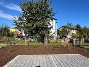 Ul Górna 14 Goczałkowice wrzesień 2025 5